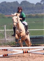 Bienvenue au club Le Petit Sam